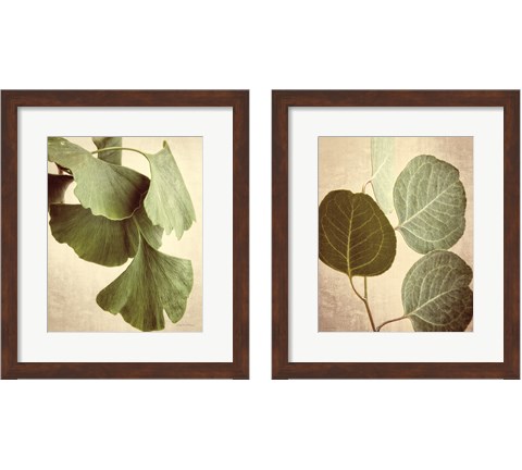 Eucalyptus Color 2 Piece Framed Art Print Set by Debra Van Swearingen