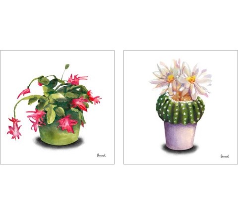 Cactus Flowers 2 Piece Art Print Set by Bannarot