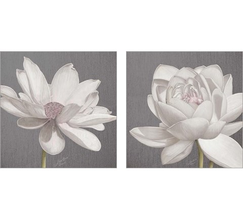 Vintage Lotus on Grey 2 Piece Art Print Set by Marie-Elaine Cusson