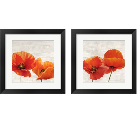 Bright Poppies 2 Piece Framed Art Print Set by Jenny Thomlinson