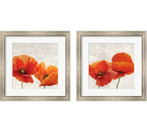 Bright Poppies 2 Piece Framed Art Print Set by Jenny Thomlinson