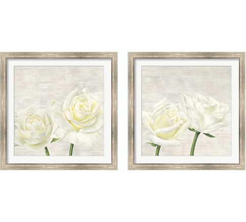 Classic Roses 2 Piece Framed Art Print Set by Jenny Thomlinson