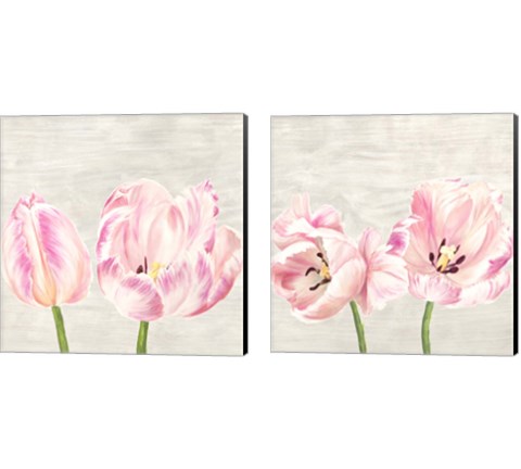 Classic Tulips 2 Piece Canvas Print Set by Jenny Thomlinson