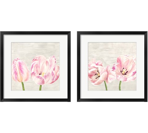 Classic Tulips 2 Piece Framed Art Print Set by Jenny Thomlinson