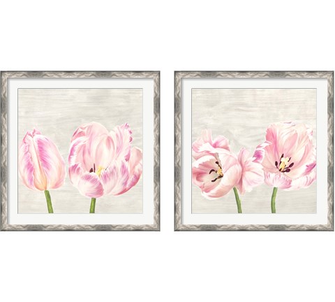 Classic Tulips 2 Piece Framed Art Print Set by Jenny Thomlinson