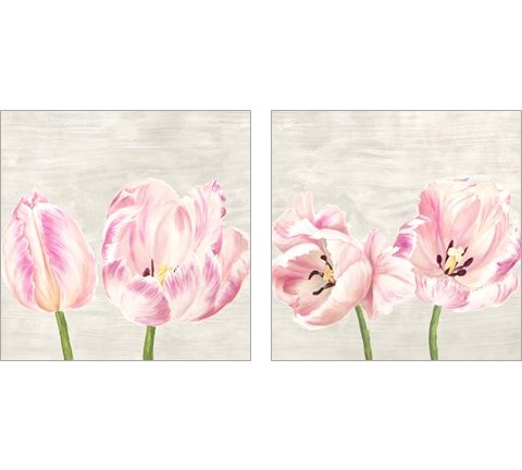 Classic Tulips 2 Piece Art Print Set by Jenny Thomlinson