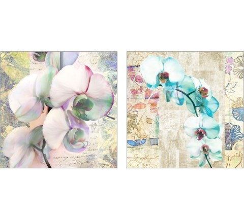 Kaleidoscope Orchid (detail) 2 Piece Art Print Set by Kelly Parr