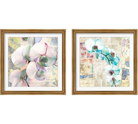 Kaleidoscope Orchid (detail) 2 Piece Framed Art Print Set by Kelly Parr