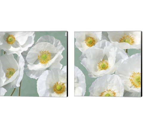 Poppies on Mint 2 Piece Canvas Print Set by Leonardo Sanna