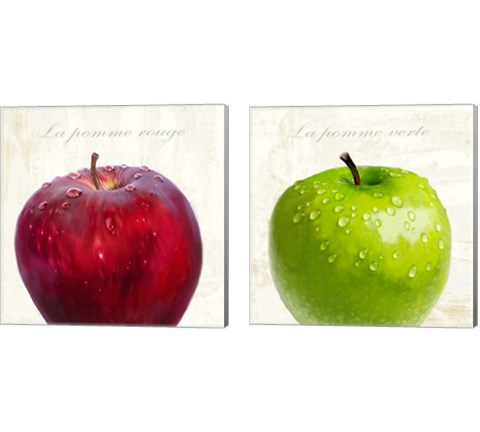 La Pomme Rouge et Vert 2 Piece Canvas Print Set by Remo Barbieri