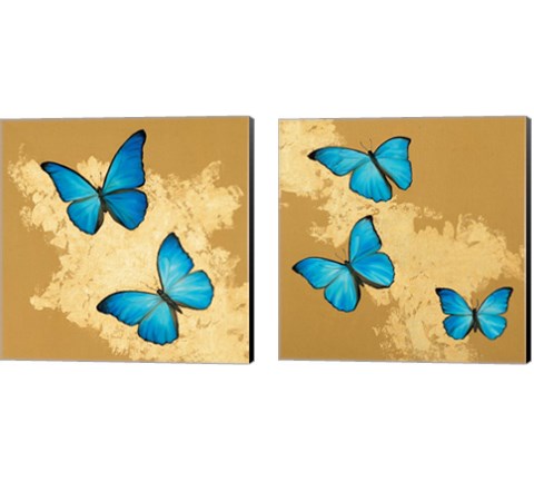 Cerulean Butterfly 2 Piece Canvas Print Set by Joanna Charlotte