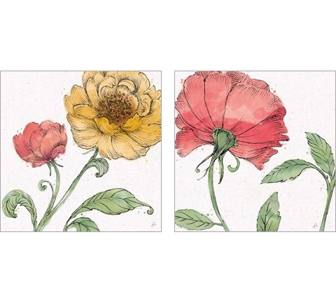 Blossom Sketches Color 2 Piece Art Print Set by Daphne Brissonnet