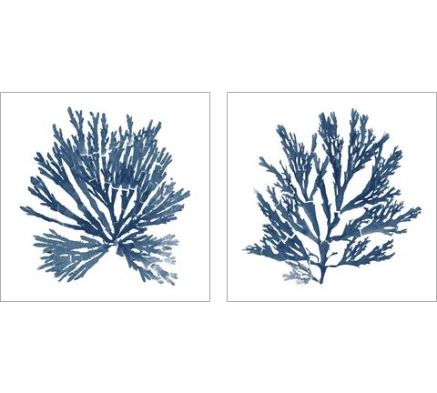 Pacific Sea Mosses Blue on White 2 Piece Art Print Set by Wild Apple Portfolio