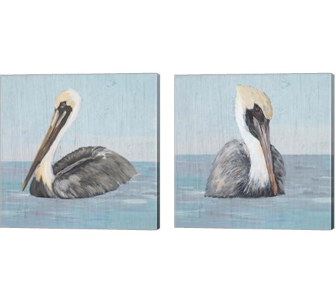 Pelican Wash 2 Piece Canvas Print Set by Julie DeRice