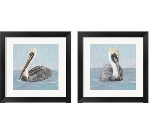 Pelican Wash 2 Piece Framed Art Print Set by Julie DeRice