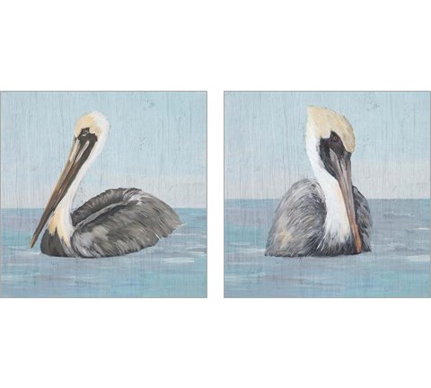 Pelican Wash 2 Piece Art Print Set by Julie DeRice