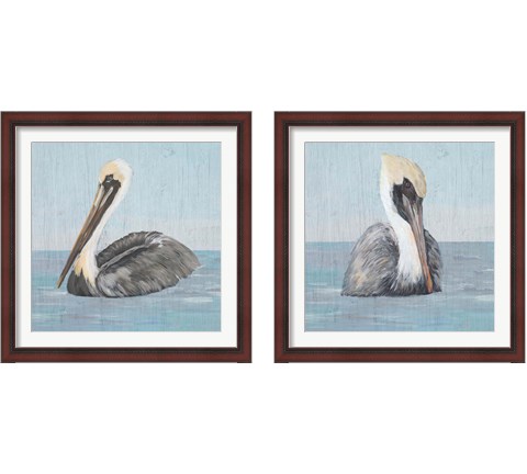 Pelican Wash 2 Piece Framed Art Print Set by Julie DeRice