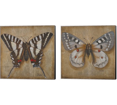 Butterfly  2 Piece Canvas Print Set by Patricia Pinto