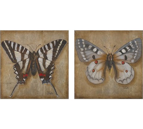 Butterfly  2 Piece Art Print Set by Patricia Pinto