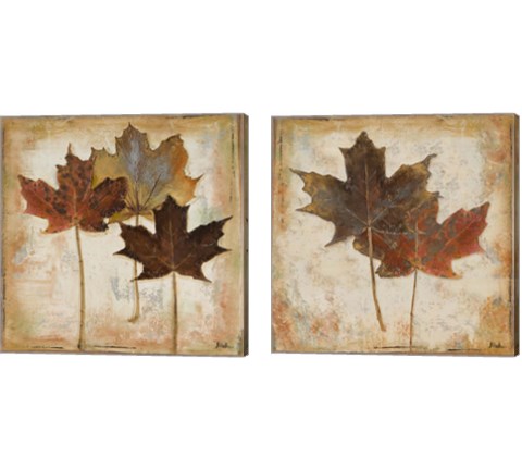 Natural Leaves 2 Piece Canvas Print Set by Patricia Pinto