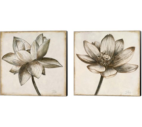 Sepia Lotus 2 Piece Canvas Print Set by Patricia Pinto