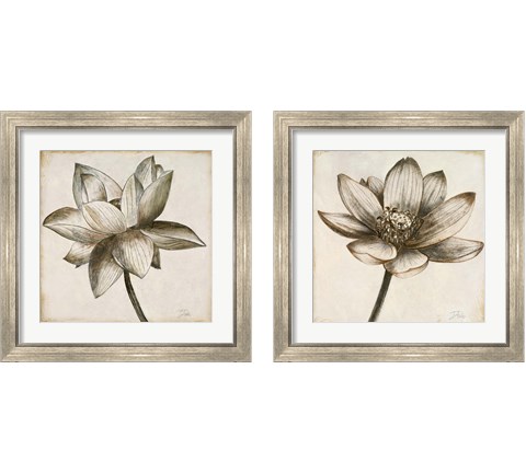 Sepia Lotus 2 Piece Framed Art Print Set by Patricia Pinto