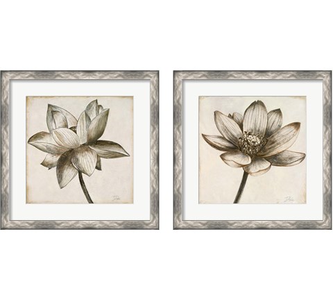 Sepia Lotus 2 Piece Framed Art Print Set by Patricia Pinto