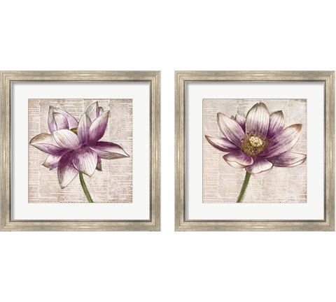 Defined Lotus 2 Piece Framed Art Print Set by Patricia Pinto