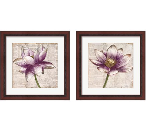 Defined Lotus 2 Piece Framed Art Print Set by Patricia Pinto
