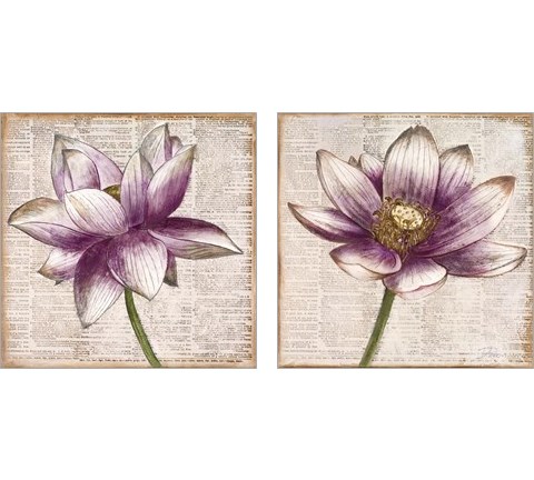 Defined Lotus 2 Piece Art Print Set by Patricia Pinto