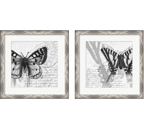 Butterfly Studies 2 Piece Framed Art Print Set by Patricia Pinto
