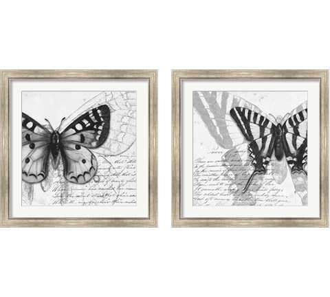 Butterfly Studies 2 Piece Framed Art Print Set by Patricia Pinto