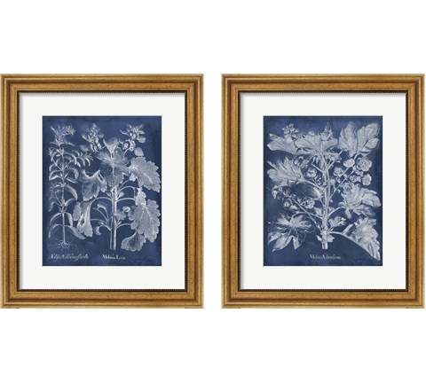 Besler Leaves in Indigo 2 Piece Framed Art Print Set by Vision Studio