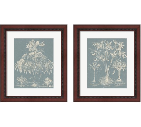 Delicate Besler Botanical  2 Piece Framed Art Print Set by Vision Studio
