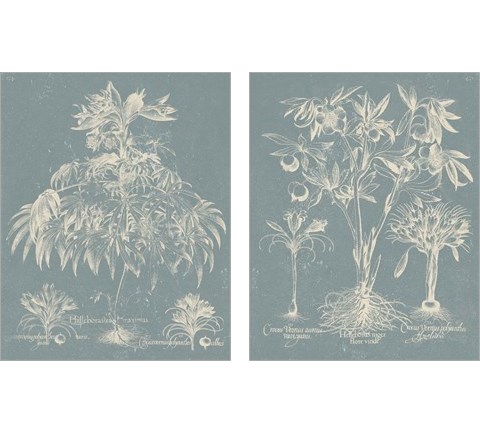 Delicate Besler Botanical  2 Piece Art Print Set by Vision Studio