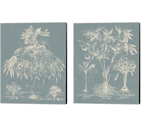 Delicate Besler Botanical  2 Piece Canvas Print Set by Vision Studio
