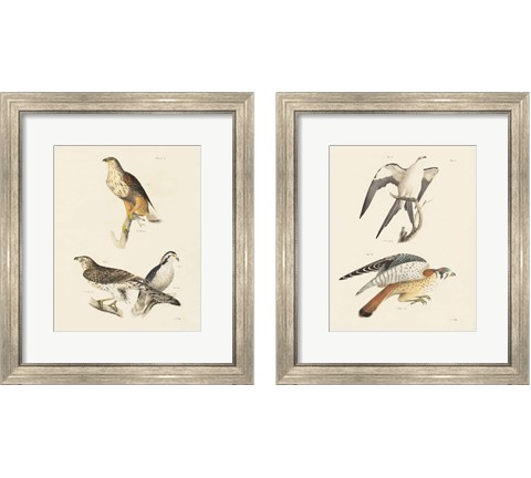 Birds of Prey 2 Piece Framed Art Print Set by Wild Apple Portfolio