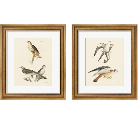 Birds of Prey 2 Piece Framed Art Print Set by Wild Apple Portfolio