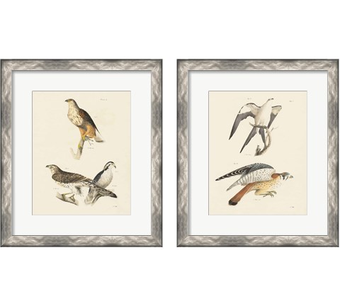 Birds of Prey 2 Piece Framed Art Print Set by Wild Apple Portfolio