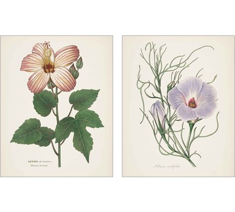 Antique BotanicalCream 2 Piece Art Print Set by Wild Apple Portfolio