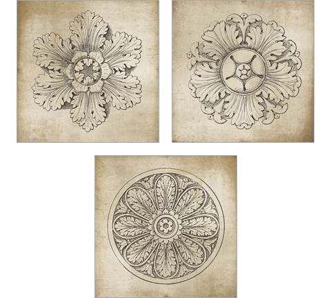 Rosette Neutral 3 Piece Art Print Set by Wild Apple Portfolio