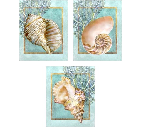 Conch Shell and Coral 3 Piece Art Print Set by Lori Shory