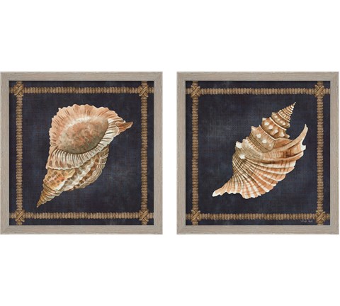 Seashell on Navy 2 Piece Framed Art Print Set by Cindy Jacobs