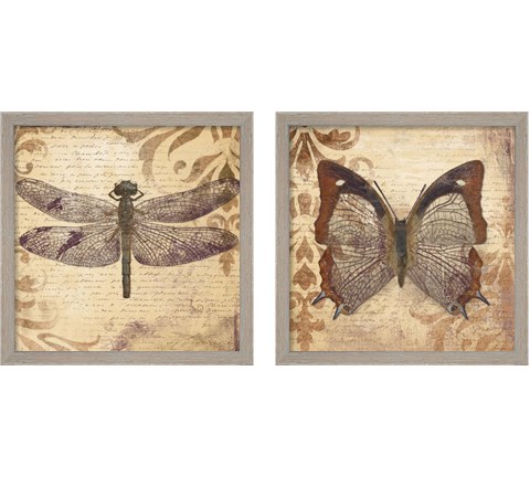 Butterfly 2 Piece Framed Art Print Set by Patricia Pinto