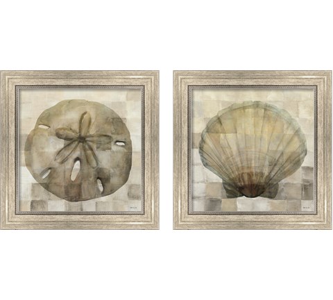 Sand Dollar & Scallop Shell 2 Piece Framed Art Print Set by Stellar Design Studio