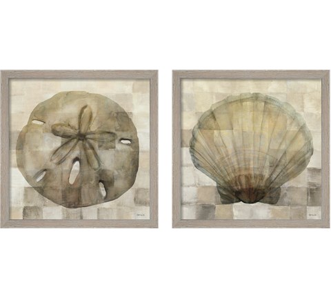 Sand Dollar & Scallop Shell 2 Piece Framed Art Print Set by Stellar Design Studio