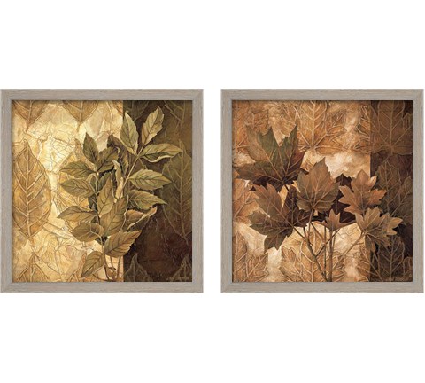 Leaf Patterns 2 Piece Framed Art Print Set by Linda Thompson