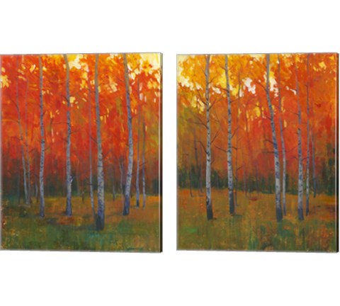 Changing Colors 2 Piece Canvas Print Set by Timothy O'Toole
