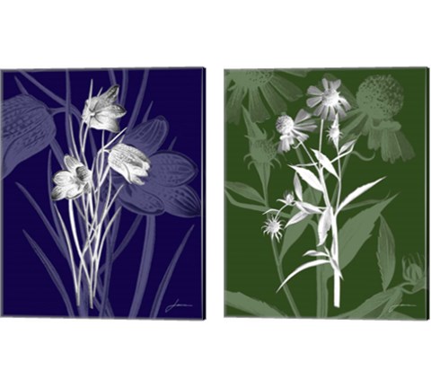 Jewel Stems 2 Piece Canvas Print Set by James Burghardt