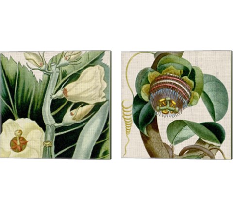 Cropped Turpin Tropicals 2 Piece Canvas Print Set by Vision Studio